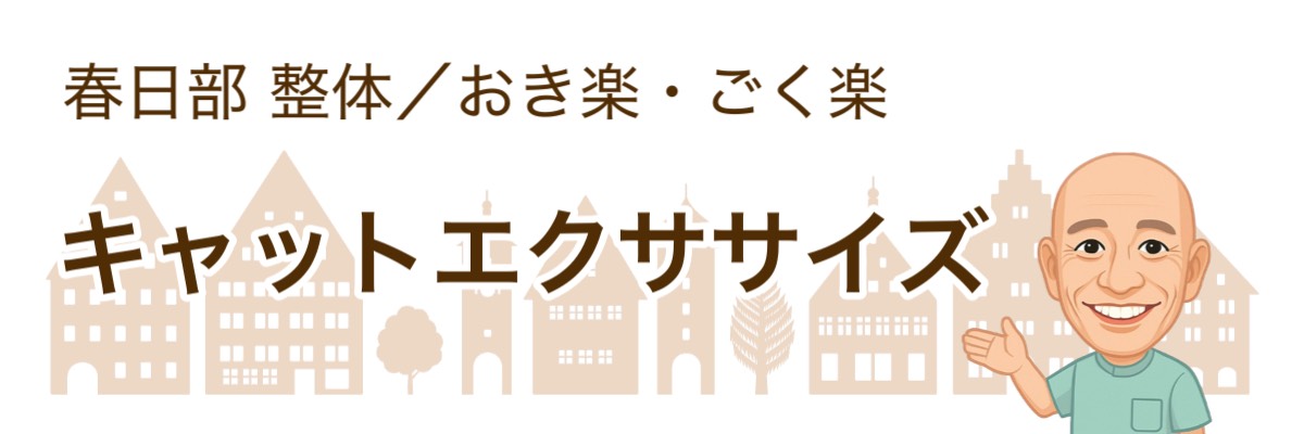 キャットエクササイズ