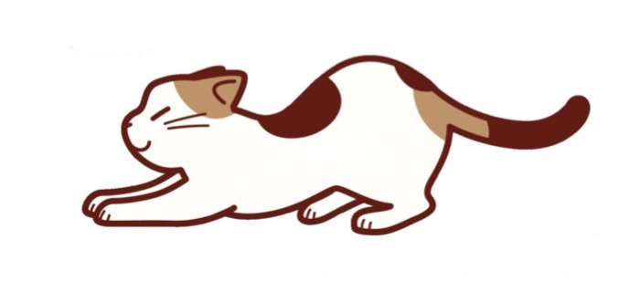 キャットエクササイズ：猫の伸びのポーズ