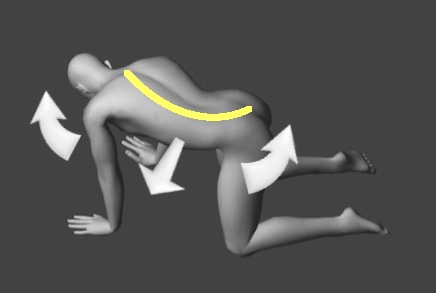 キャットエクササイズ画像4