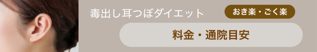 春日部 一ノ割駅徒歩8分｜毒出し耳つぼダイエット
